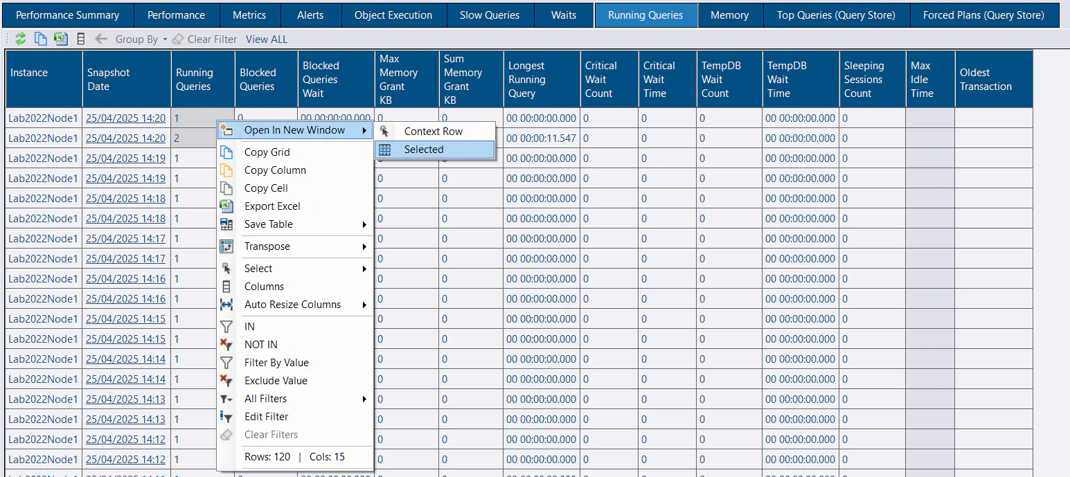 Running Queries Open In New Window