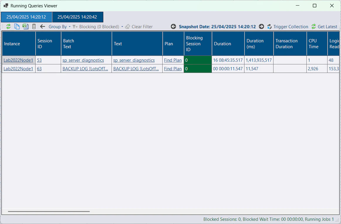 Running Queries Tabbed Viewer