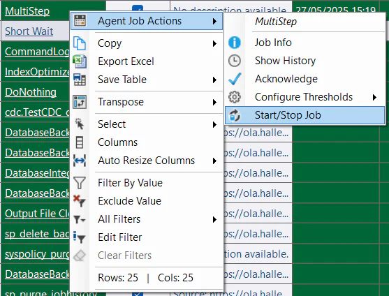 SQL Server Agent job context menu (Grid)