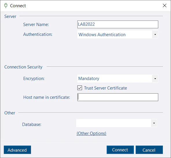 Connection Dialog - Basic